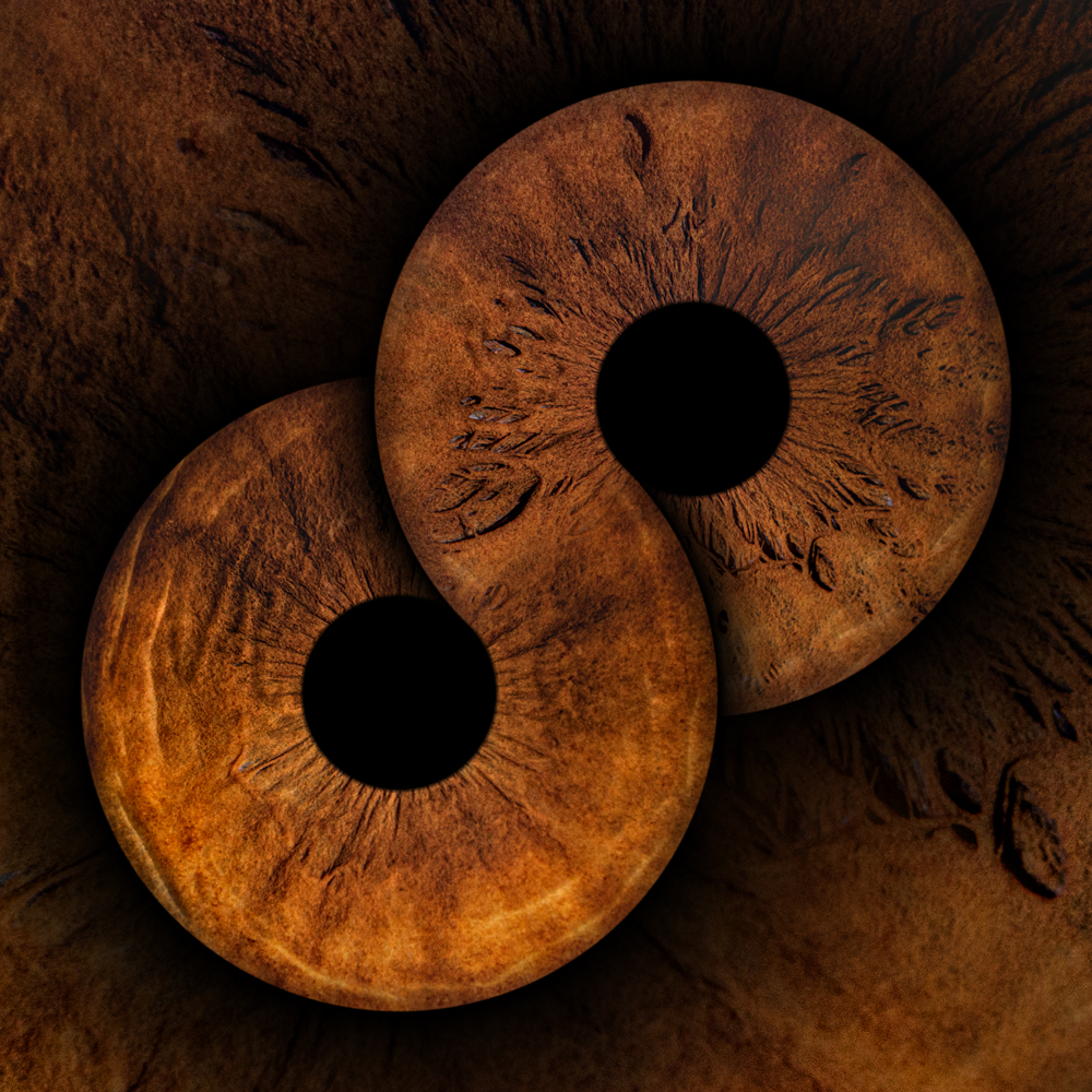 Two amber irises overlapping in a figure‑eight composition with dramatic side lighting