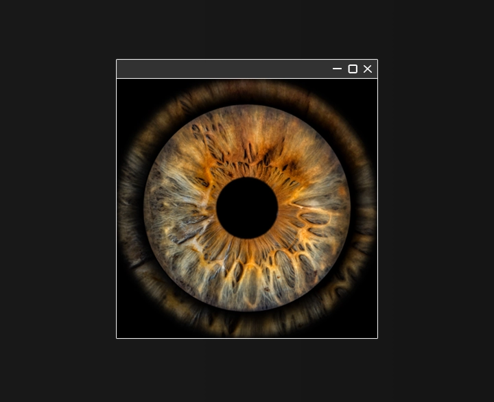 Single Iris Experience