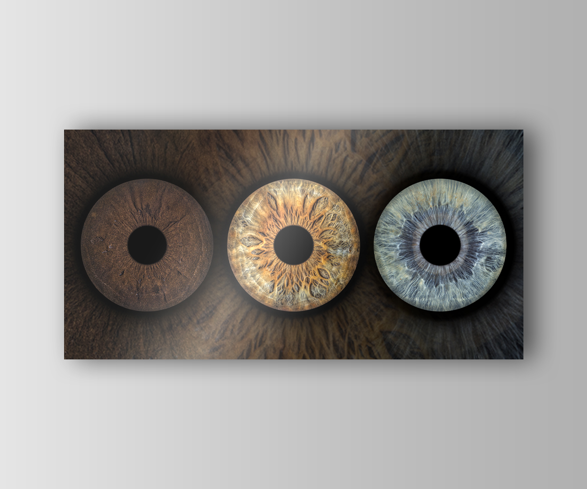 3 Eyes Rectangular Dibond