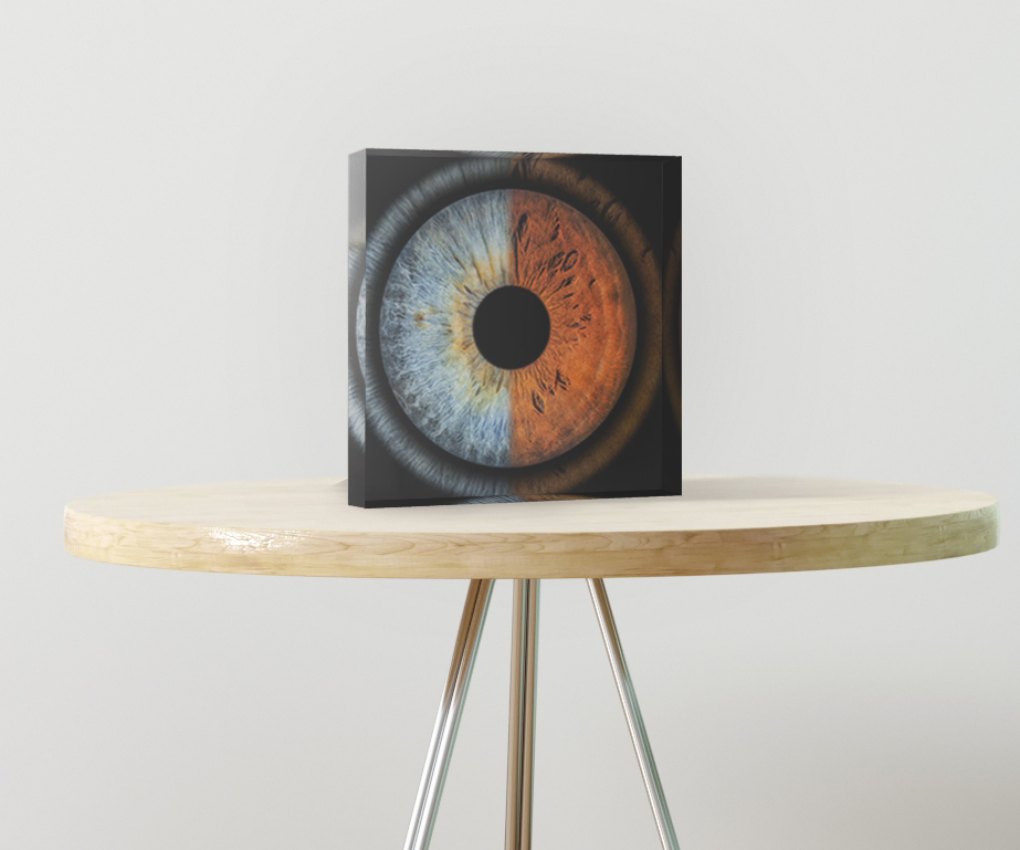 Acrylic Blocks (Desk Ornaments)