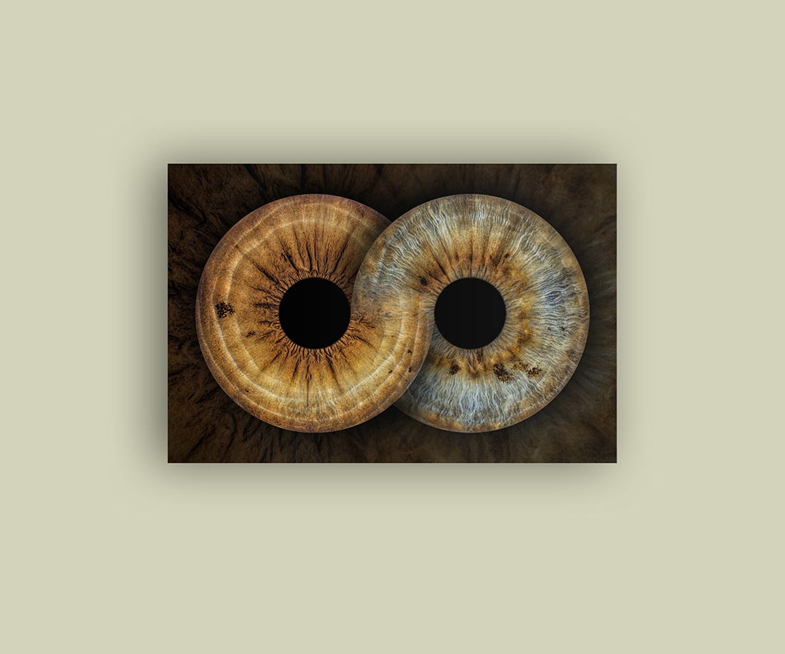 2 Eyes Rectangular Acrylic Frames